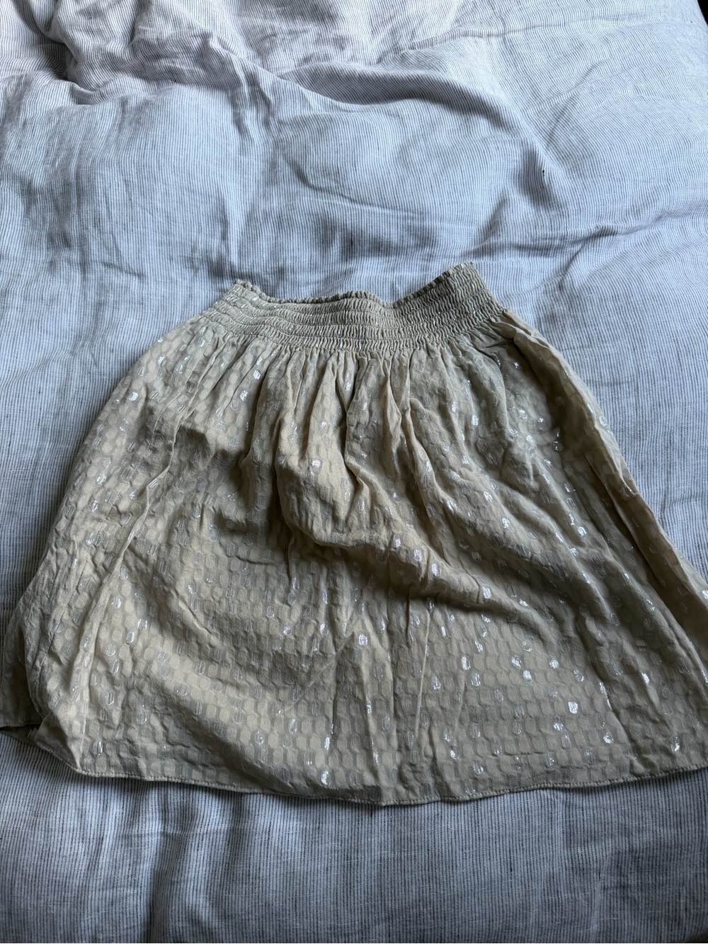 Club Monaco Beige Sequin Circle Skirt
